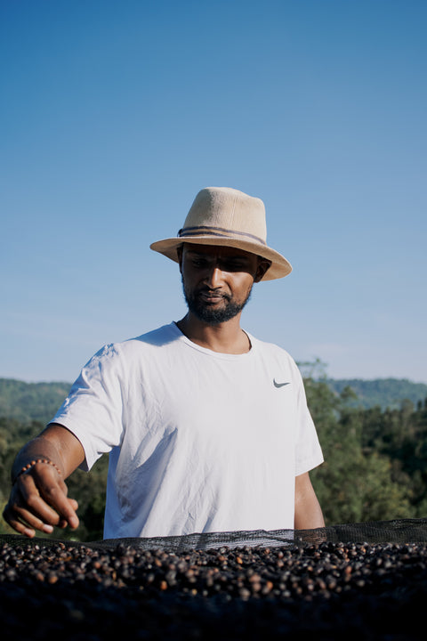 Sustainability in Coffee: How Farmers Shape the Future of Specialty Coffee?