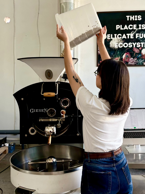 Myth-Busting #2 Is Fresher Coffee Always Better?