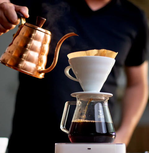 Shavi Brew Guide — V60
