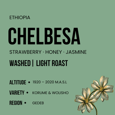 Chelbesa  - Light Roast