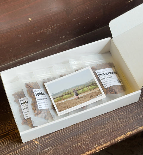 Alsu's Selection: 6 Sample Flight