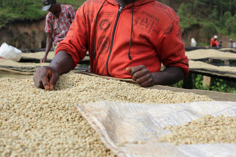 Kibingo washing station, Kayanza, Burundi