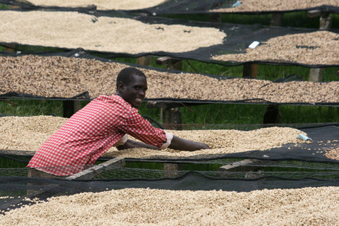 Kibingo washing station, Kayanza, Burundi