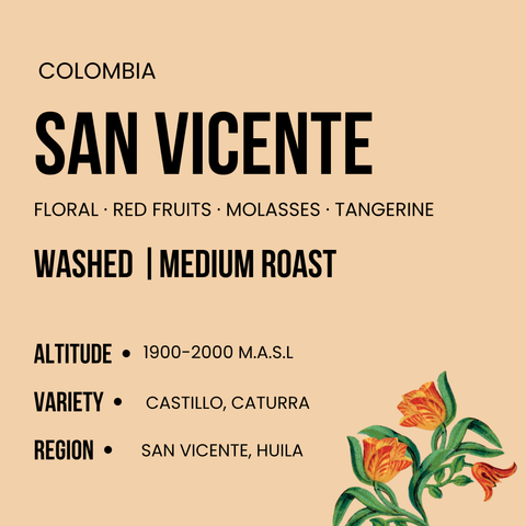 San Vicente