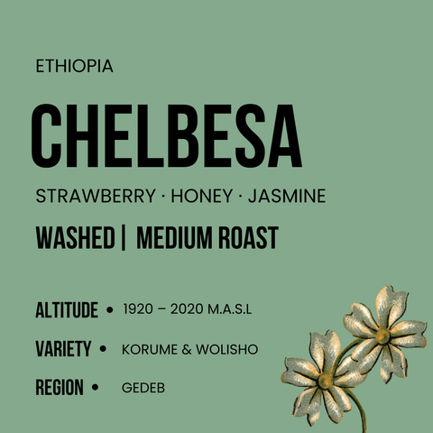 Chelbesa - Medium Roast