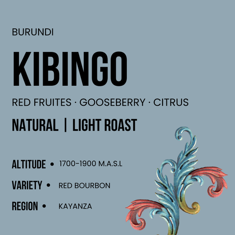 Kibingo Natural Yeast Intenso, Burundi: Shavi Coffee Roasters bag, fourth view