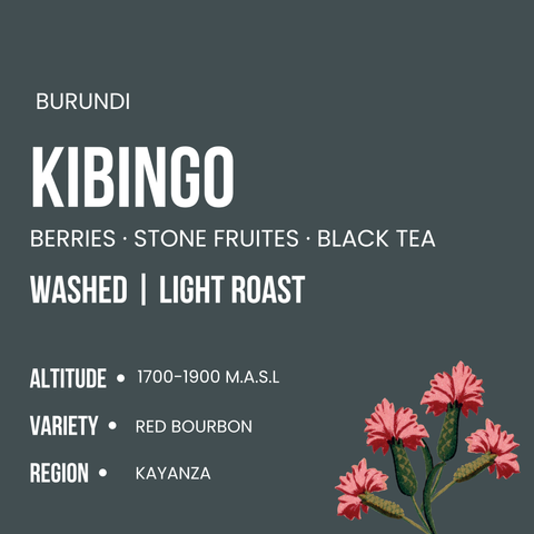 Kibingo Washed, Burundi: Shavi Coffee Roasters bag, fourth view